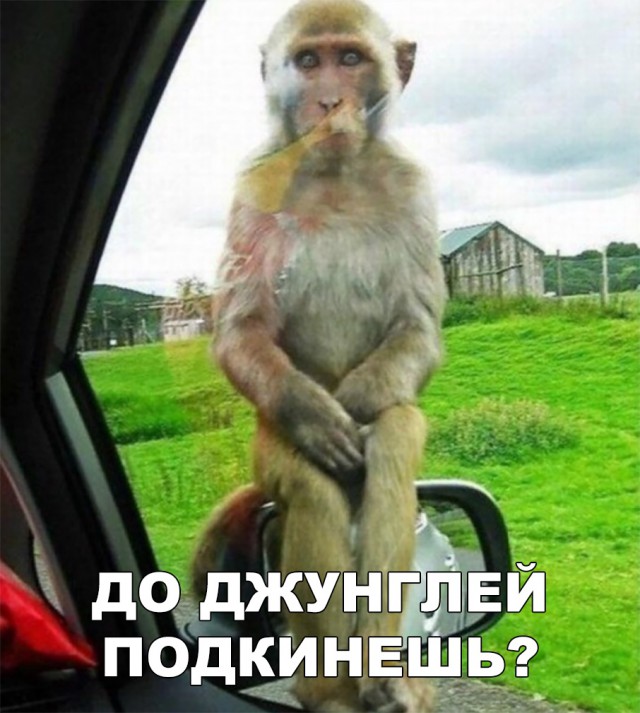 Нестандартный юмор