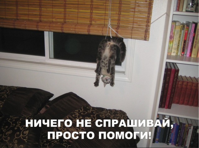 Нестандартный юмор