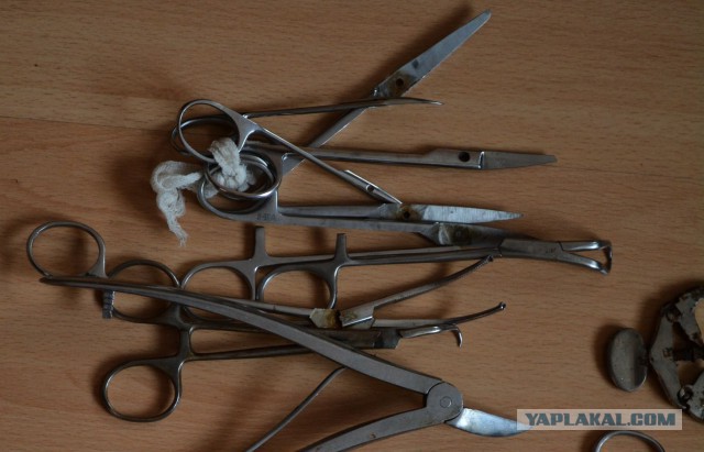 Барышни с медицинским образованием