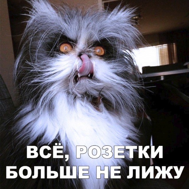 Немного милоты