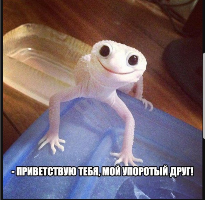 Клуб анонимных алкоголиков