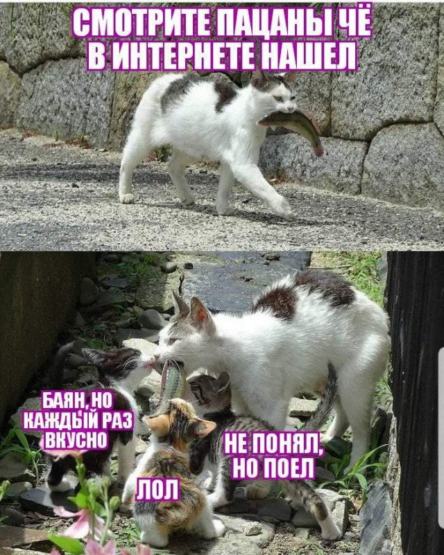 Немного картинок на вечер