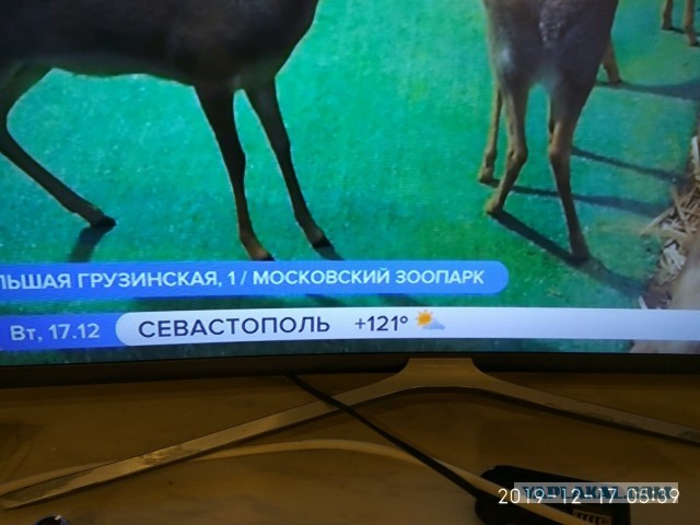 «Записи нет, но можно купить место в очереди в ГИБДД у девочек»