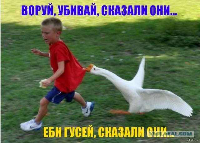 Фото с незабываемым запахом детства
