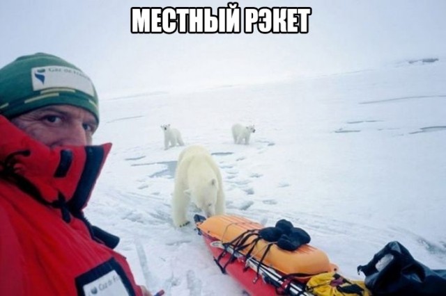 Так себе картинки 10