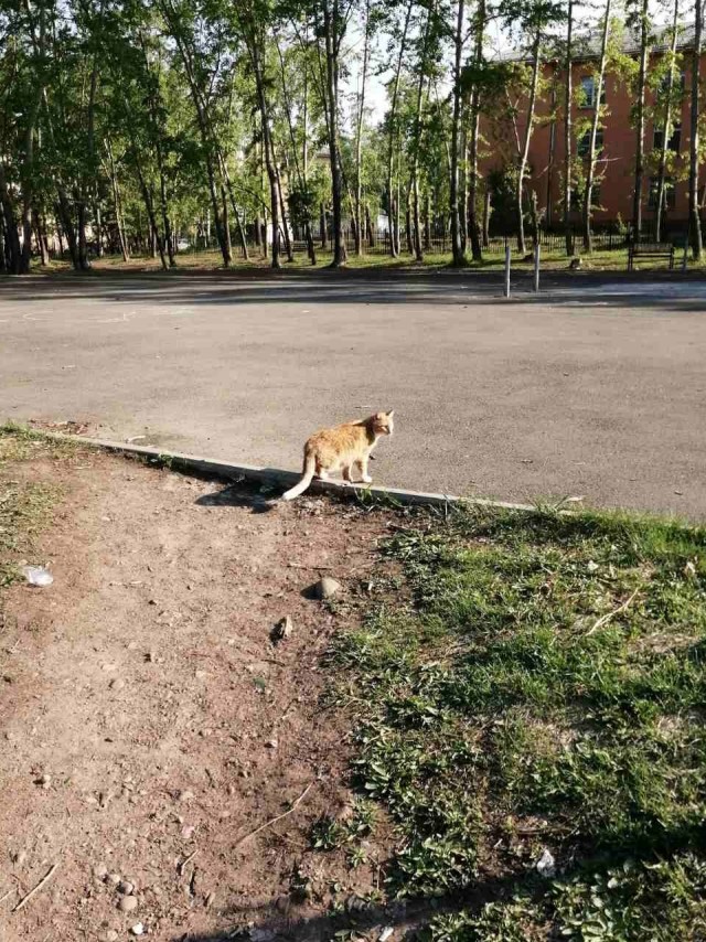 Давайте делиться фотками прошедшего дня