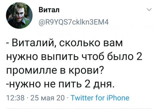 Белочка, запой и прозрачные сущности. Как я за две недели пропил сто тысяч
