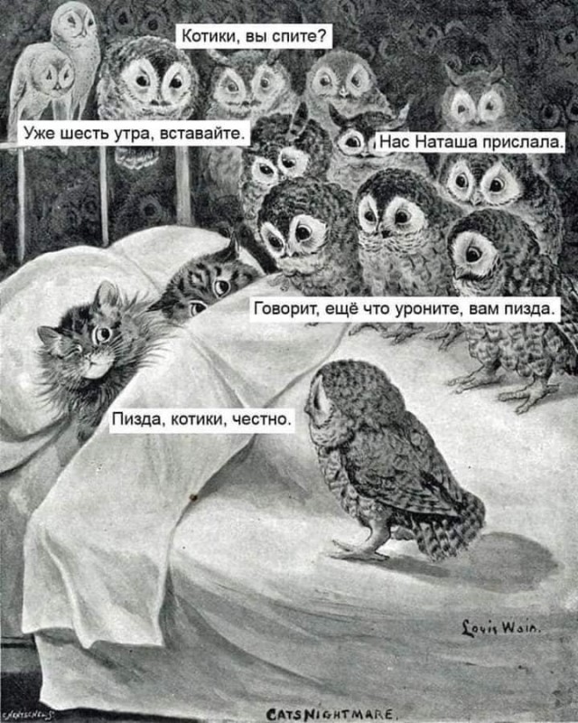 Одна из жизней кошки потрачена. Орёл, видать, был сыт