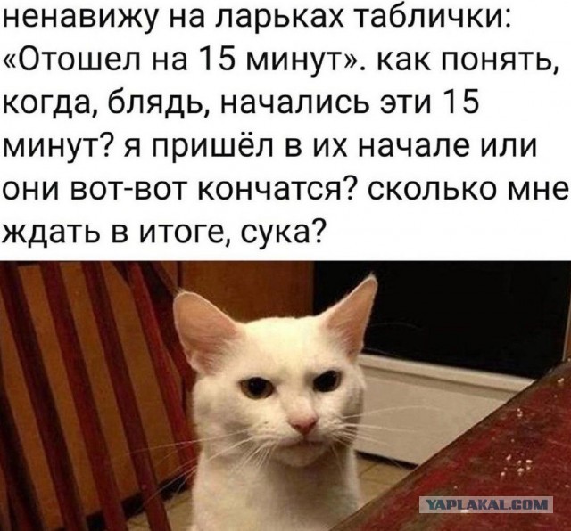 Глазки закрывай..все, вставай