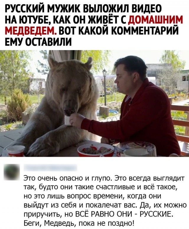 Картинки разнообразные. На злобу дня и на доброту (05.10)