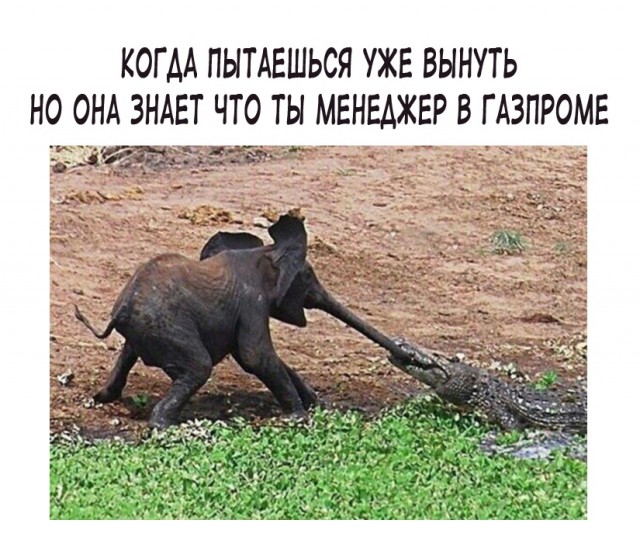 С миру по нитке 6.02.21