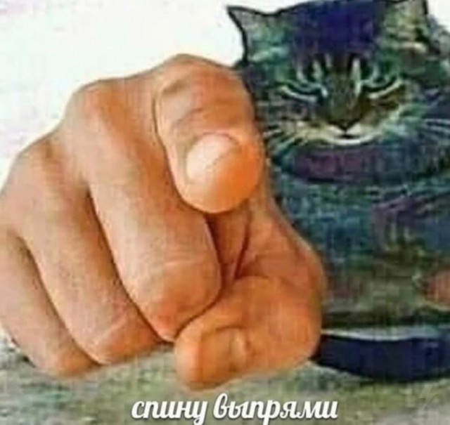 Немного картинок с надписями и без - 28.02.21