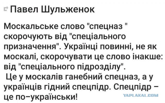 Зеленский предложил украинцам готовиться к партизанской войне