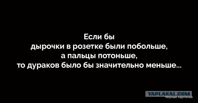 Весёлый полтишок 8.06.21