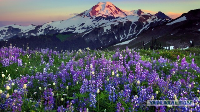 С днём рождения, Ati!