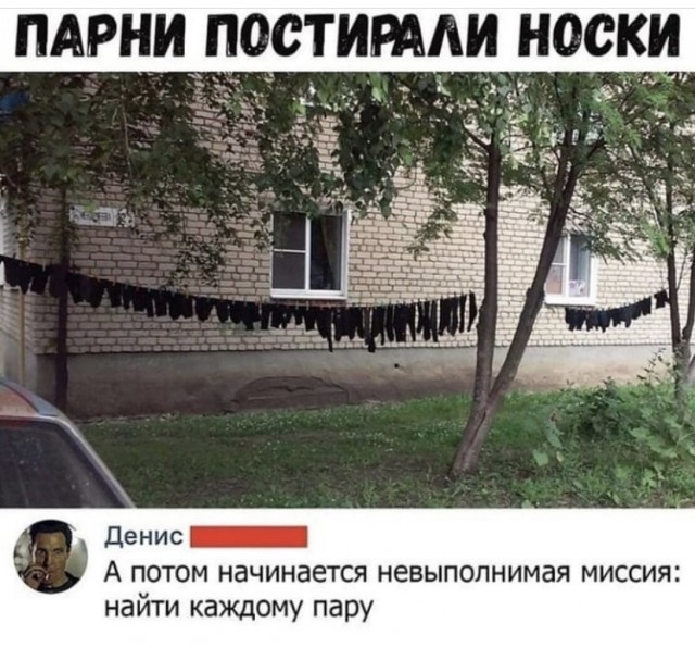 Весёлый полтишок 10.08