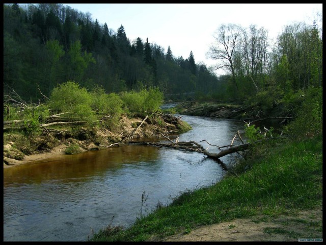 Фотоотчет из Латвии
