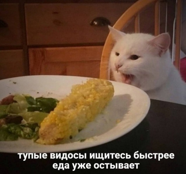 Баянисто-небаянистый юмор 6.12.21