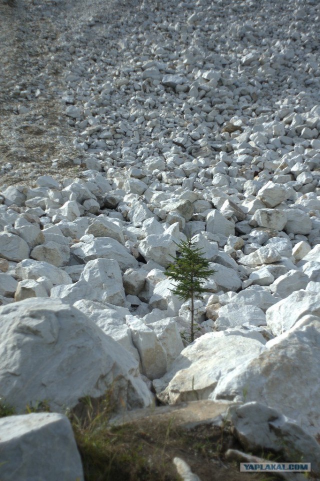 Байкал 2010