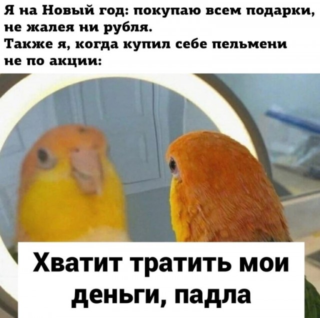 Весёлый полтишок 10.01