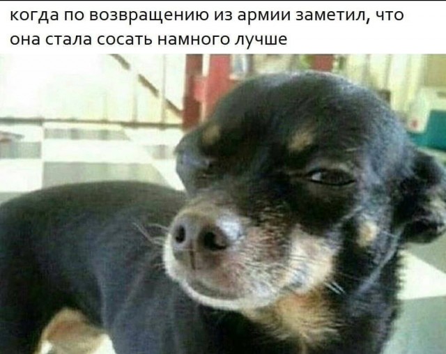 Аморальная деградация