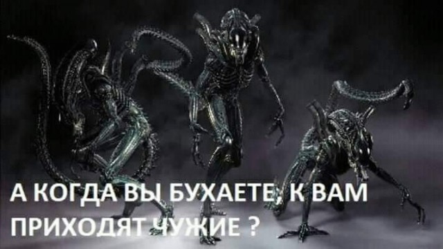 Алкопост 11.03.22