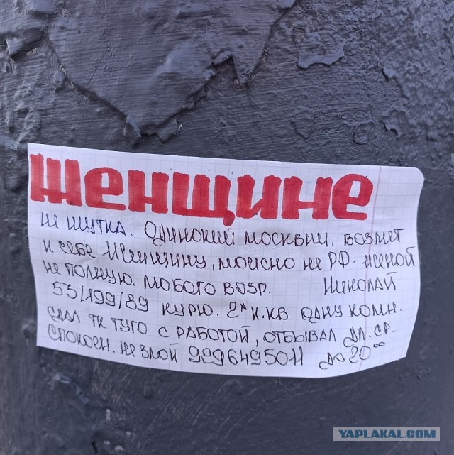 В Москве заметили необычное объявление о сдаче койко-места женщине