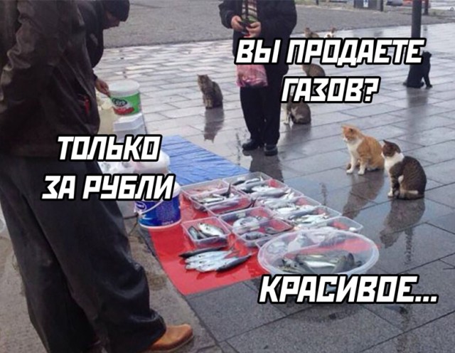 Картинки и мемы для настроения 31.03.2022