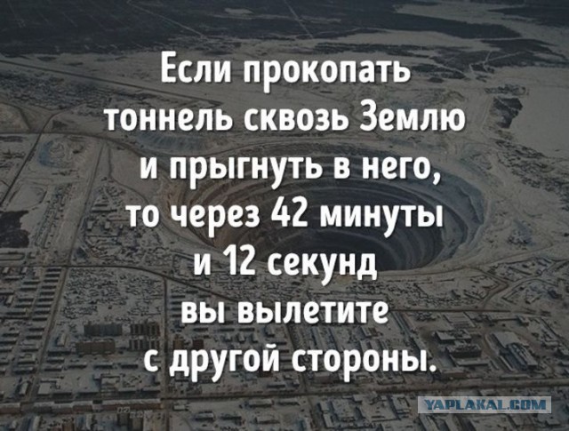 70 удивительных фактов