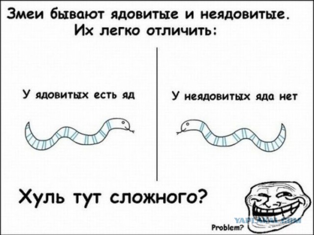 Вы спрашивали, как выглядят укусы ядовитых и не ядовитых змей, коллеги.