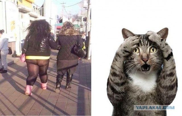 Девушки и женщины в просвечивающих штанишках и юбках