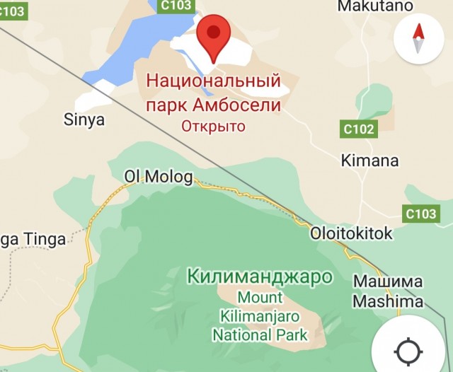 Масаи охраняют 50-летнего слона от браконьеров