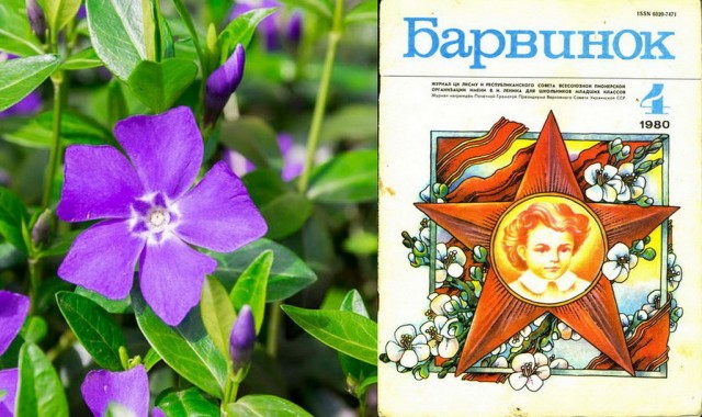 Должна ли жена иметь приданое?
