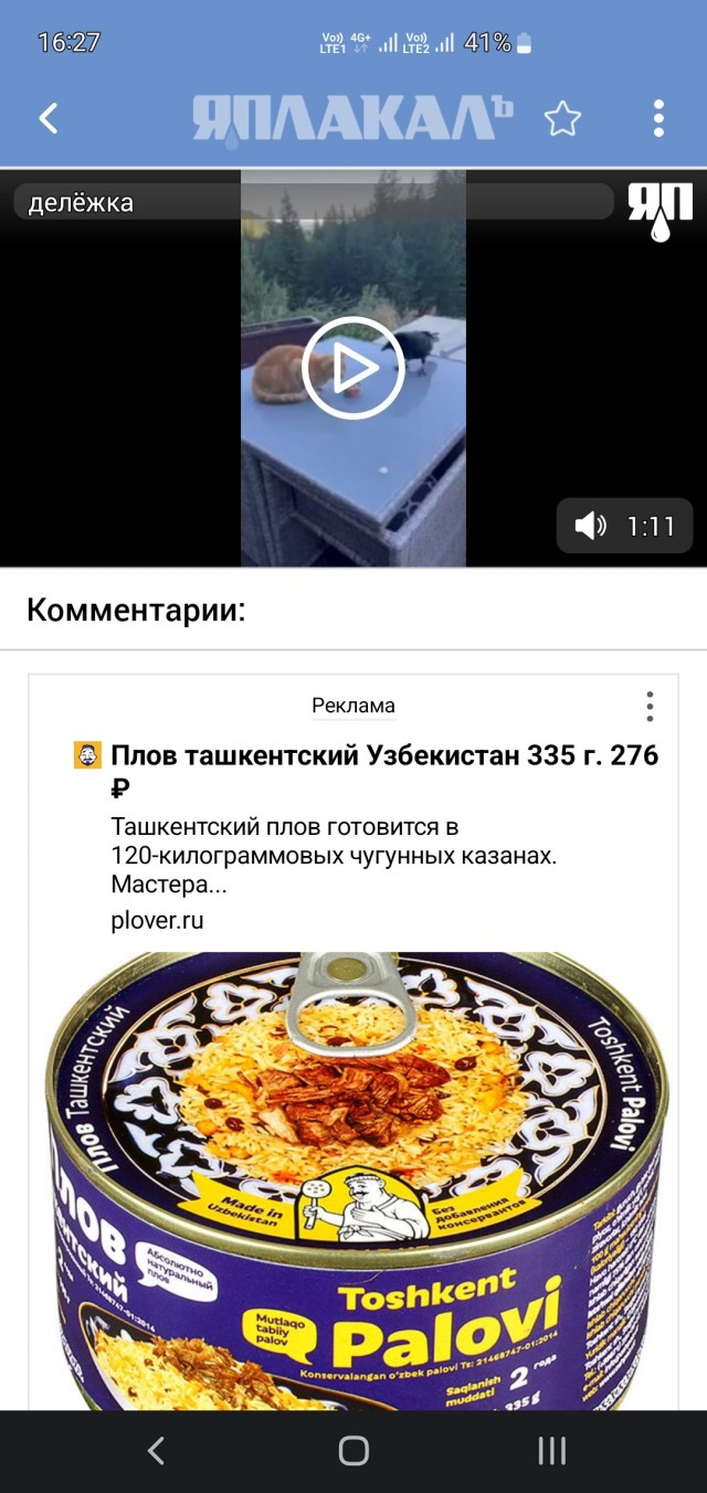 Ворона за социализм, кошка против
