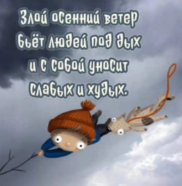 Юмор в картинках и без 27.11.2022