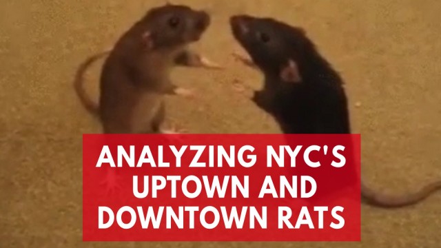 Добро пожаловать в NY.