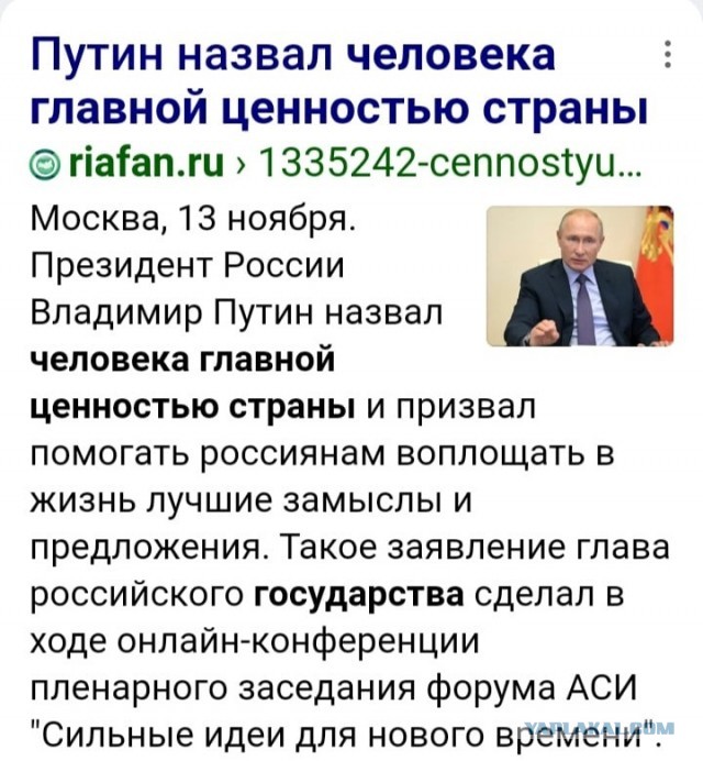 Мэр Бодайбо обвинил депутатов Госдумы в «собачьем лобби» и снова потребовал уничтожать бродячих животных