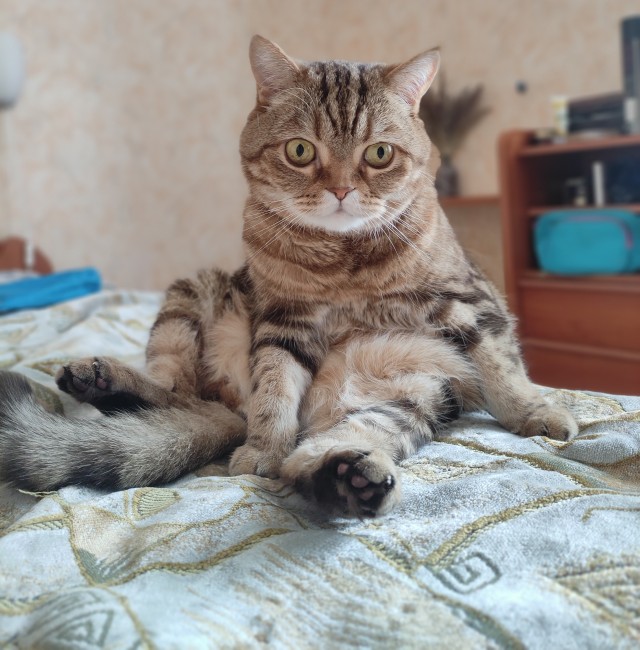 Вторник, да?