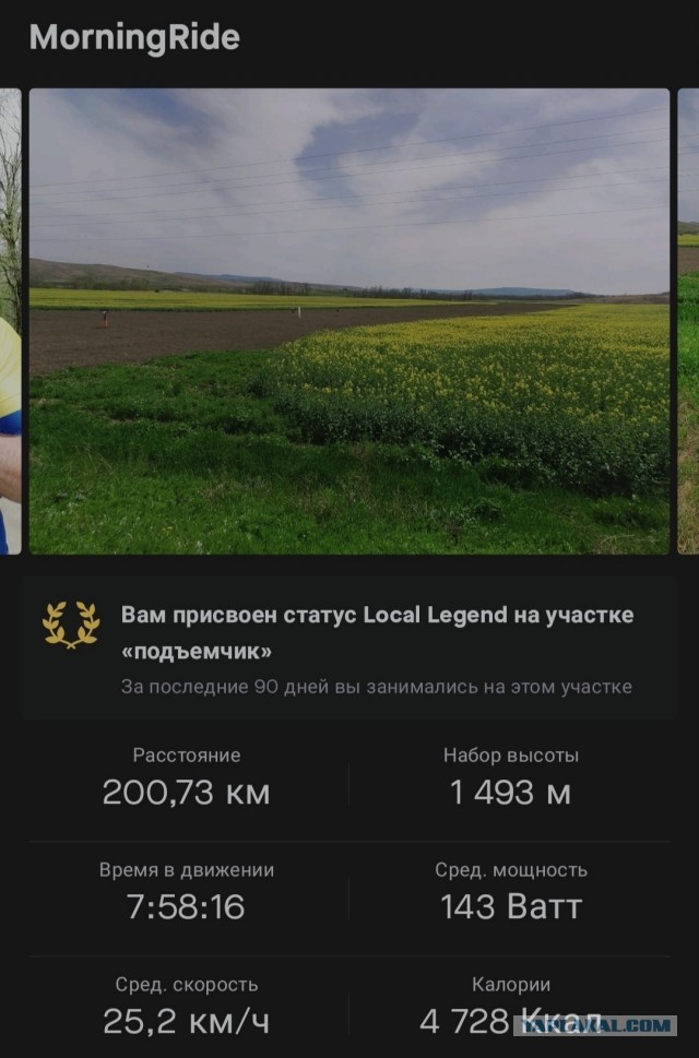 Велосипед с рамой из бамбука. Спустя два года эксплуатации