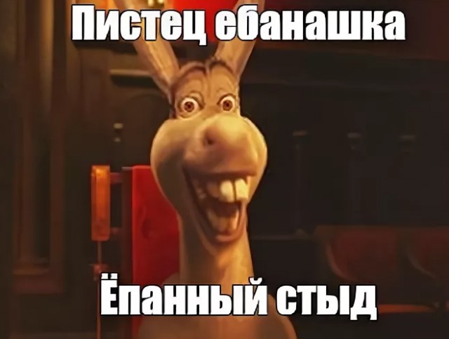 Ебанашка песня. Ебанашки смена 3. Пикчи для девушки с котиками. Ты ебанашка фото. Ты ебанашка фото.