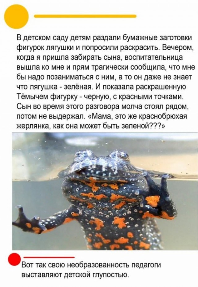 Картинки и мемы, всяко - 169