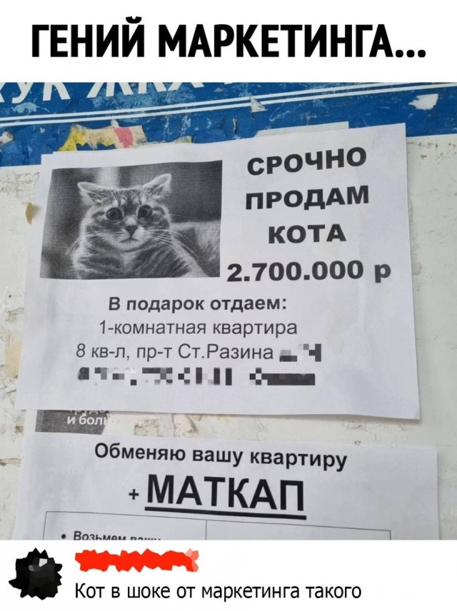 Картинки и мемы, всяко разно - 183