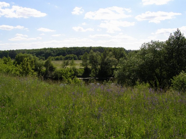 Сплав. Южный Буг.