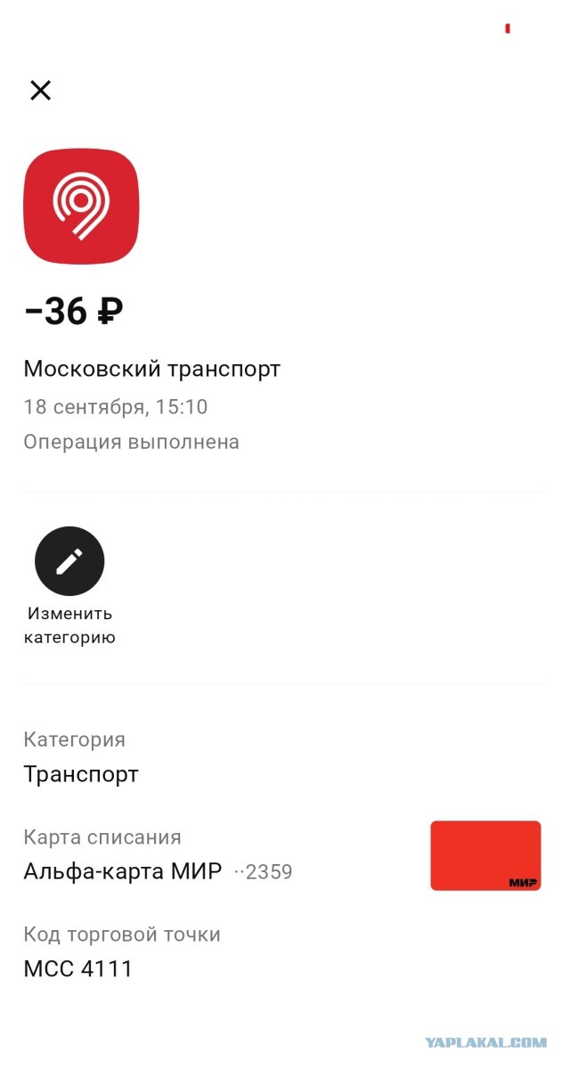 Летишь к бабуле, а в кармане полтишок