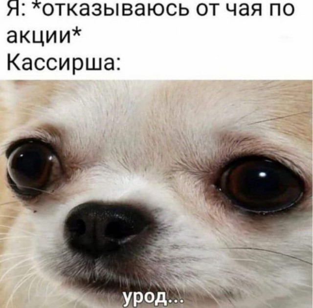 Подбухнул? Пости баяны срочно