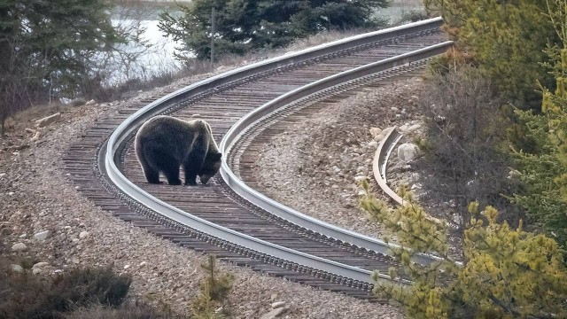 Химия и жизнь
