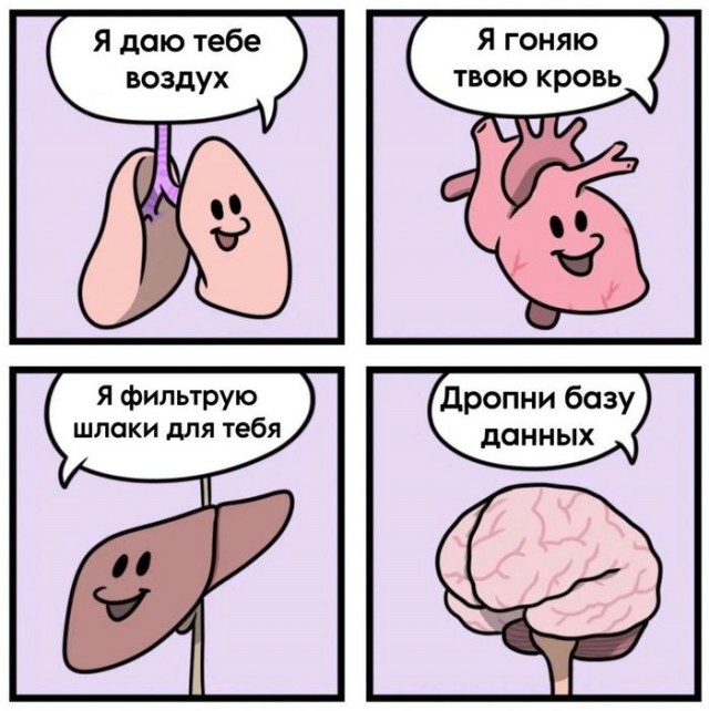 IT. Войти и выйти. Приключение на 20 минут