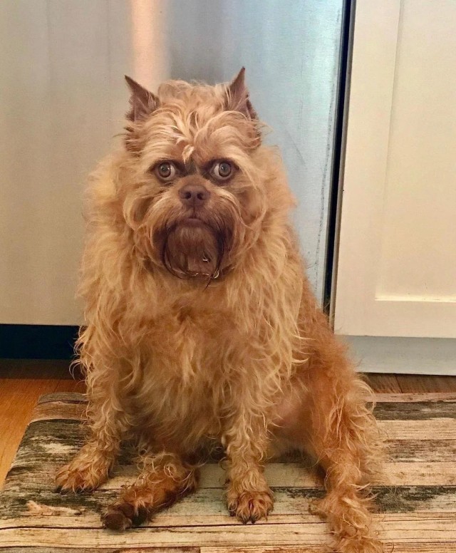 Нагулялиси мы.