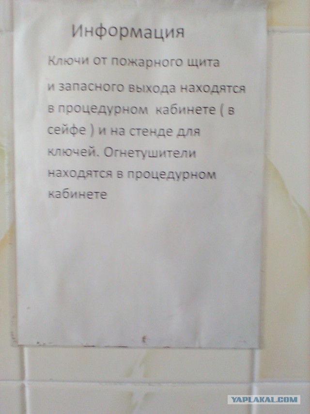 Перлы 04.02.24