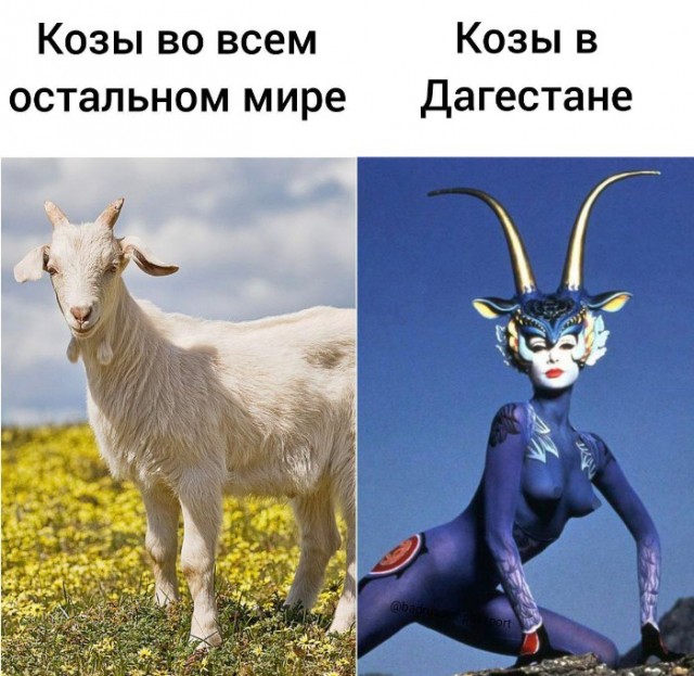 Всего понемногу. Оо 22.02.24